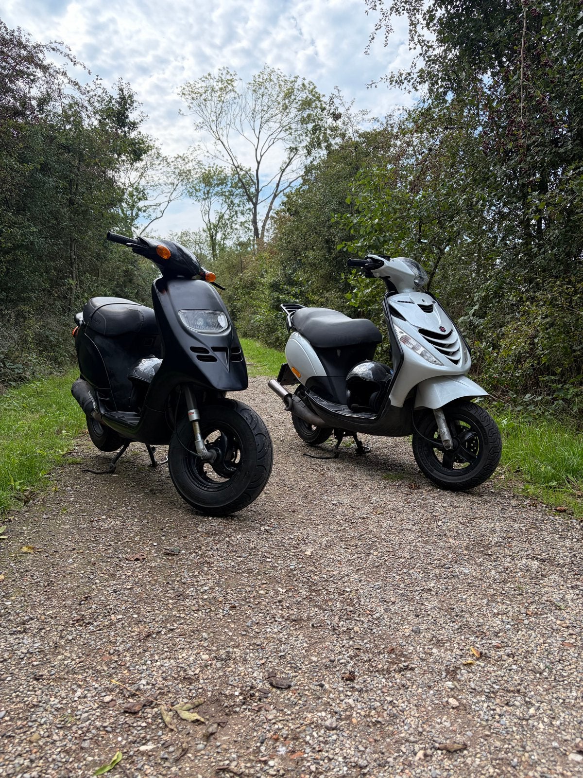 Piaggio typhoon 50cc 2 takt, Ophalen, Gebruikt, Tweetakt, Piaggio