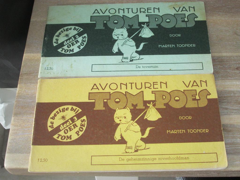 avonturen van Tom Poes de tovertuin & de geheimzinnige rover, Eén stripboek, Ophalen of Verzenden, Zo goed als nieuw