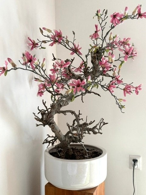 Exclusieve roze Magnolia kunstboom op échte magnoliatak, Ophalen, Binnen, Overige typen, Roze