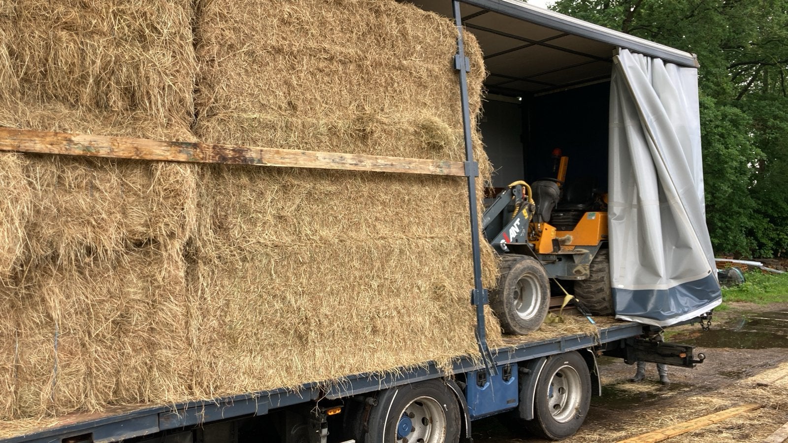 Frans weidehooi: Ideaal voor paarden en gevoelige dieren, Dieren en Toebehoren, Dierenvoeding, Ophalen of Verzenden