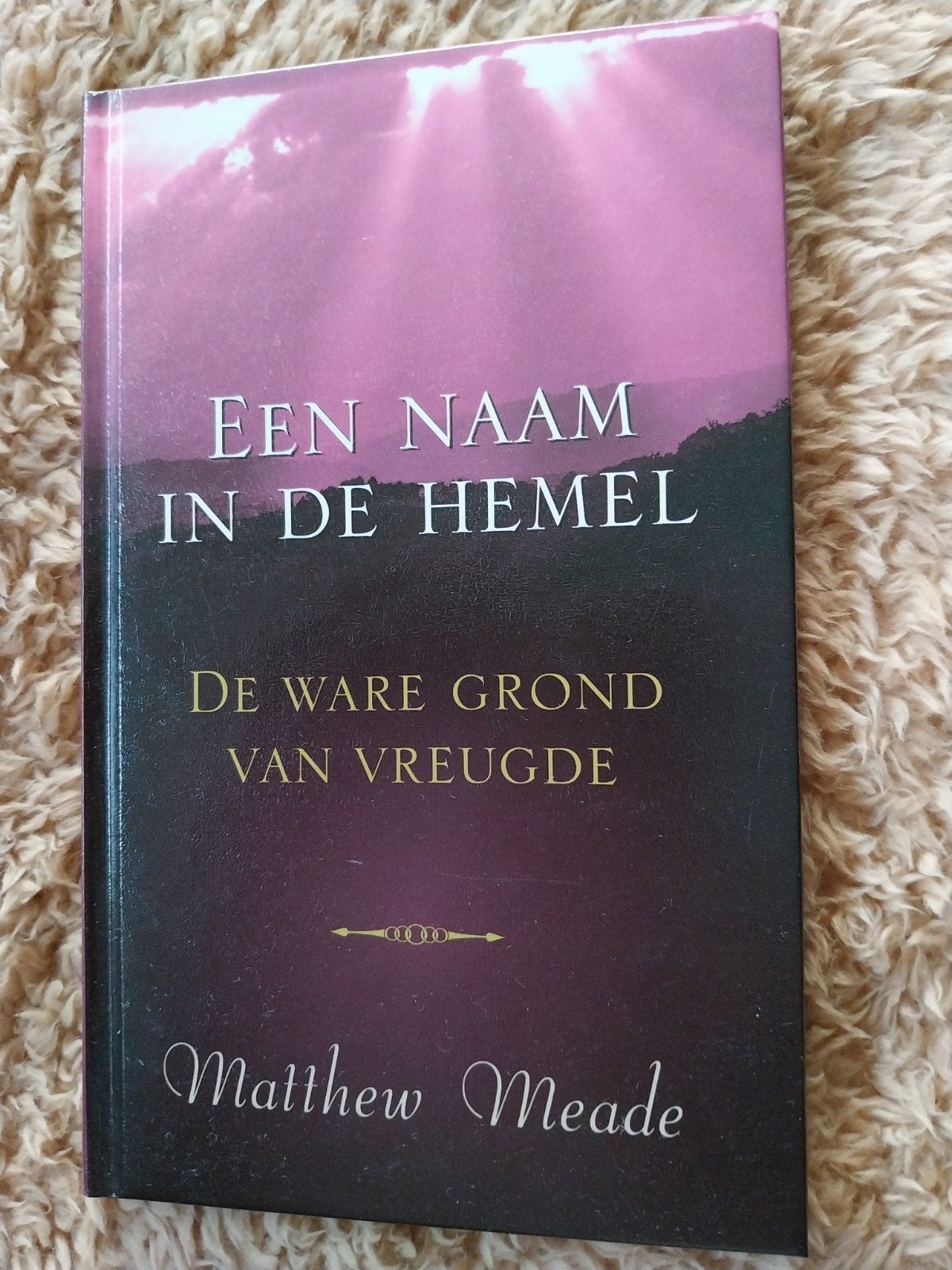 Een naam in de hemel, Ophalen of Verzenden, Zo goed als nieuw