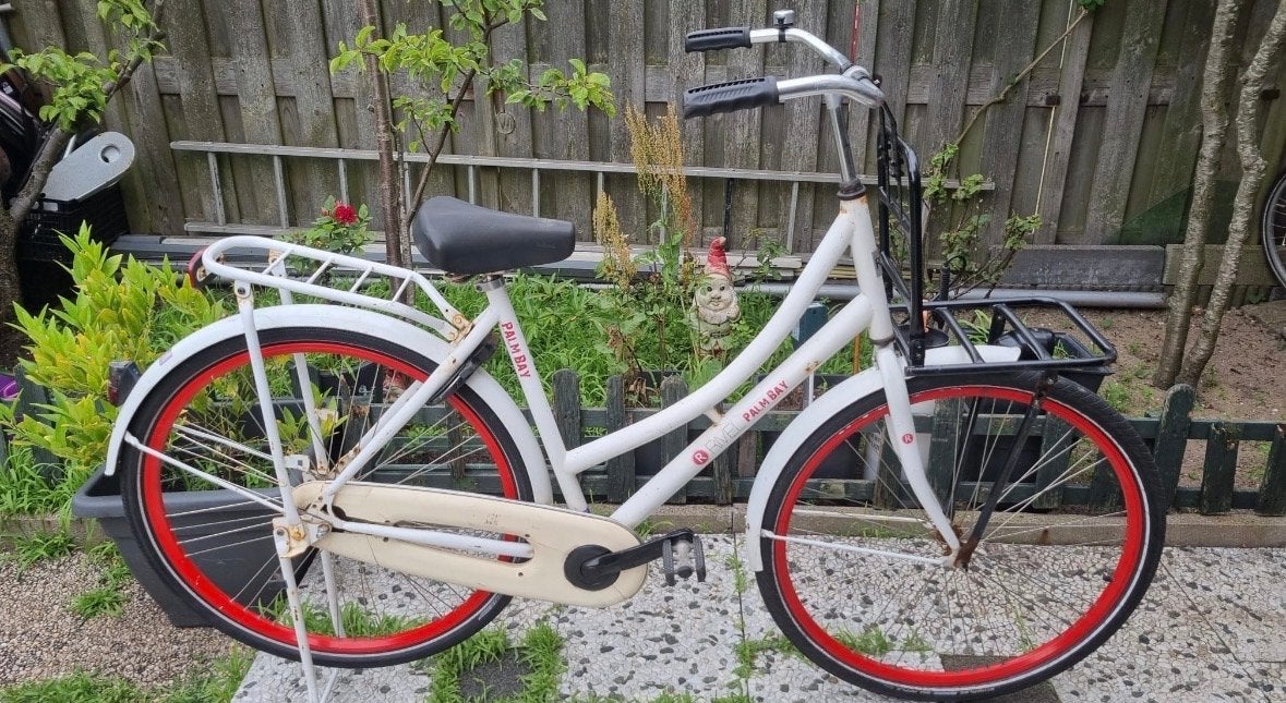 Palmbay Damesfiets, Ophalen, Terugtraprem, Overige merken