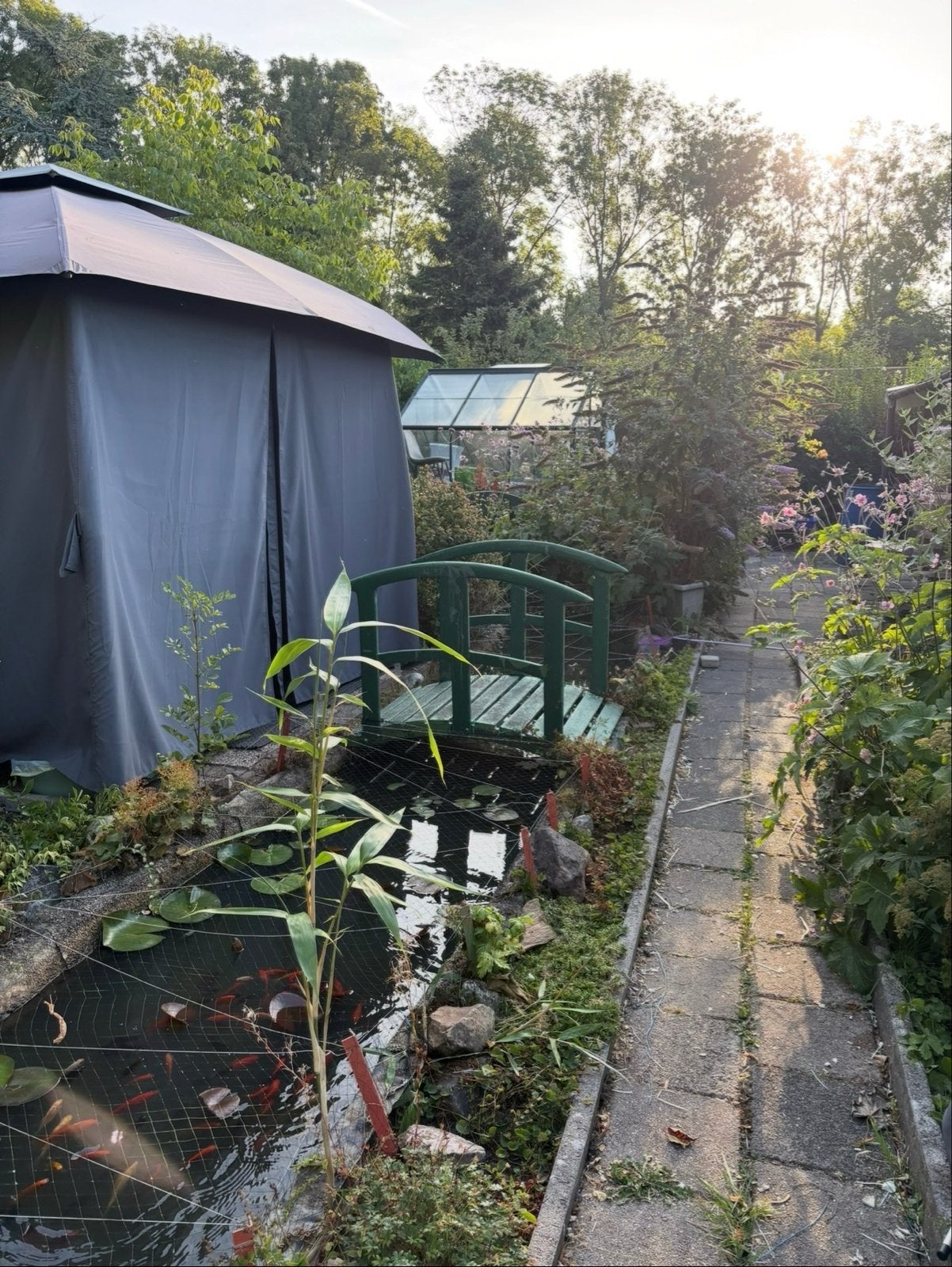 Volkstuin 256 m² met tuinhuis en vijver - Wijkeroog, Gebruikt, Tuinhuis, Ophalen of Verzenden, Zonder ramen