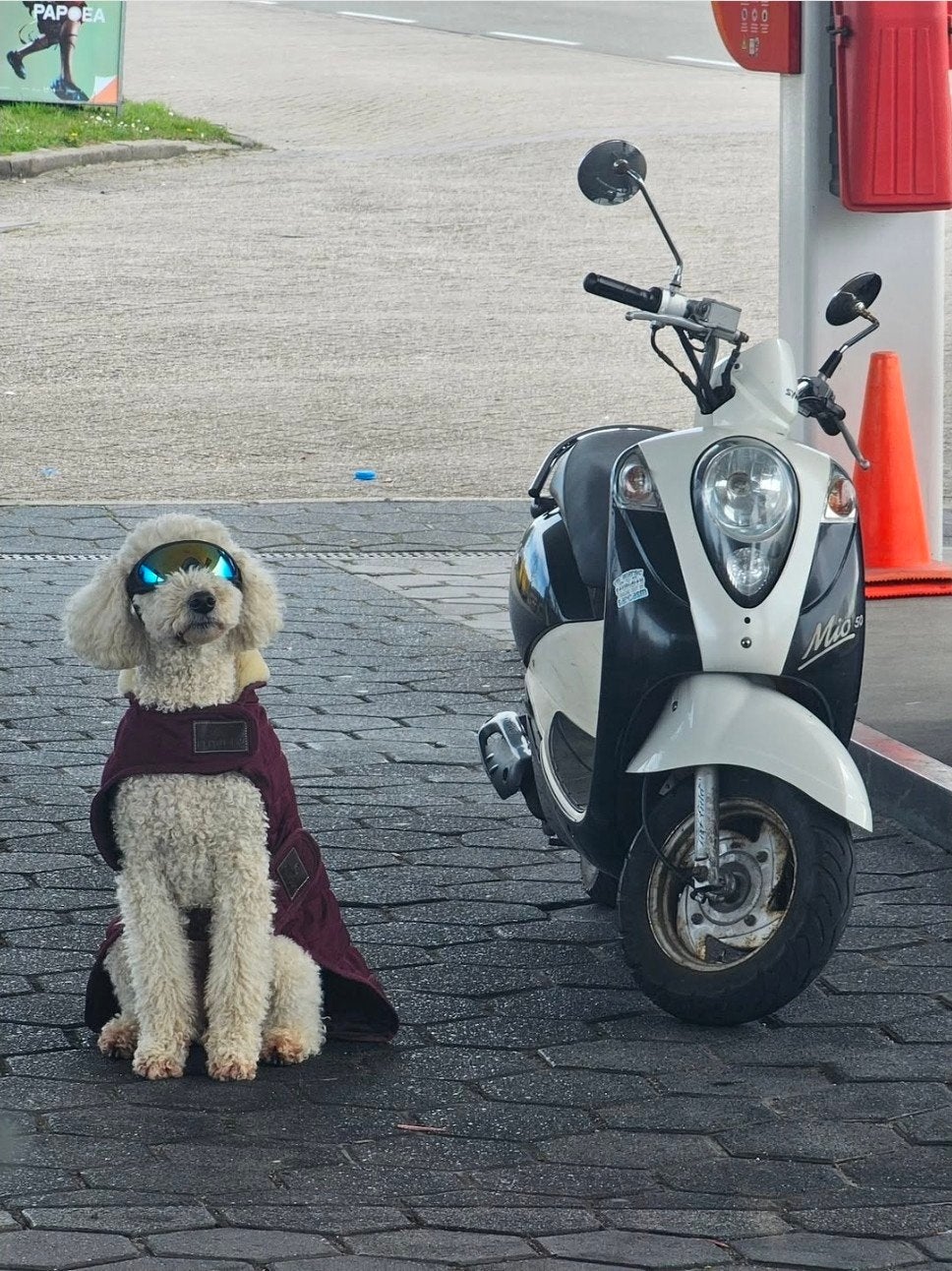 sym mio scooter, Ophalen of Verzenden, Benzine, Mio