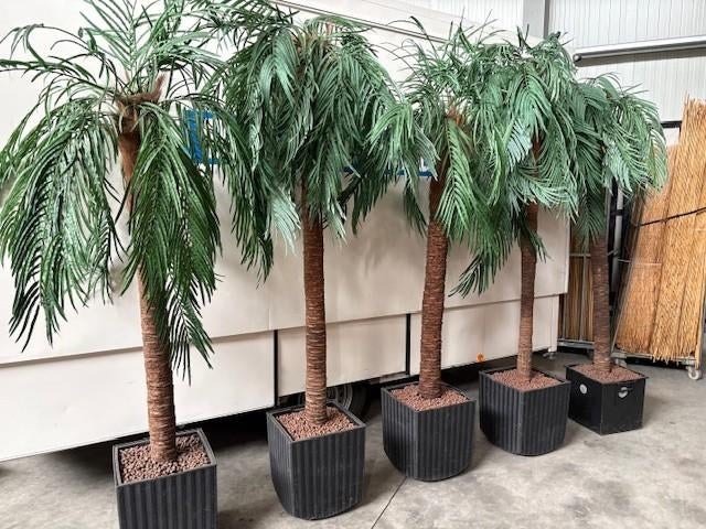decoratieplant, Ophalen, Kunstplant, Kunststof, Overige merken