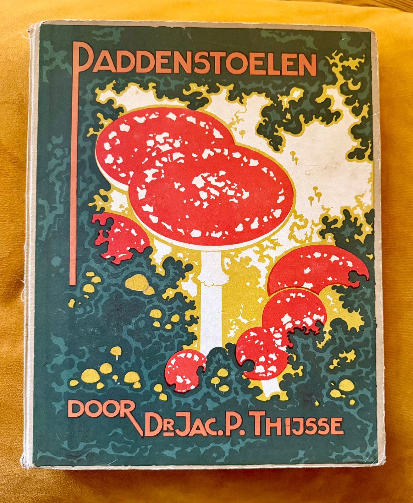 Verkade-plaatjesalbum Paddenstoelen Jac.P.Thijsse, Boeken, Ophalen of Verzenden, Gelezen, Overige onderwerpen