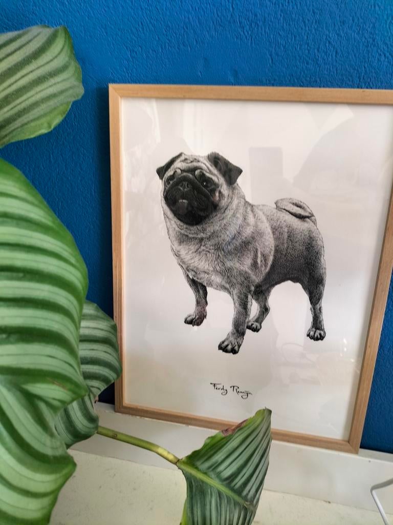 Print Ferdy Remijn, Minder dan 50 cm, Ophalen of Verzenden, Zo goed als nieuw, Minder dan 50 cm