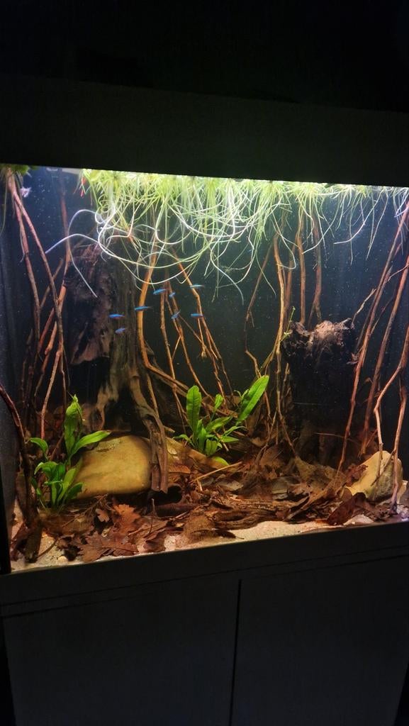Juwel Lido200 compleet!, Dieren en Toebehoren, Ophalen, Zo goed als nieuw, Leeg aquarium