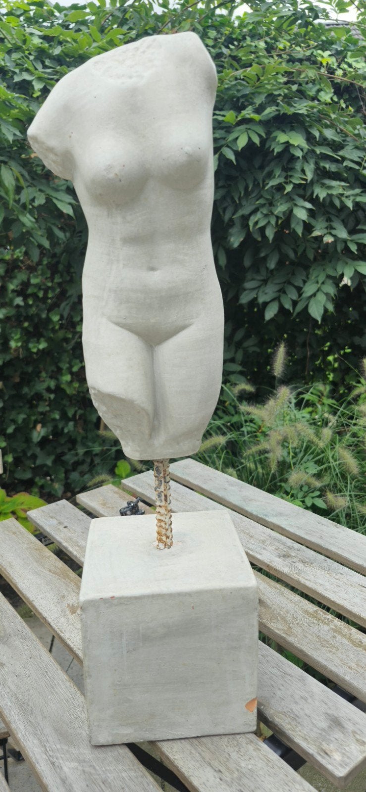 Klassieke torso sculptuur op sokkel, Ophalen, 20 - 50 cm, Beeld, Op sokkel