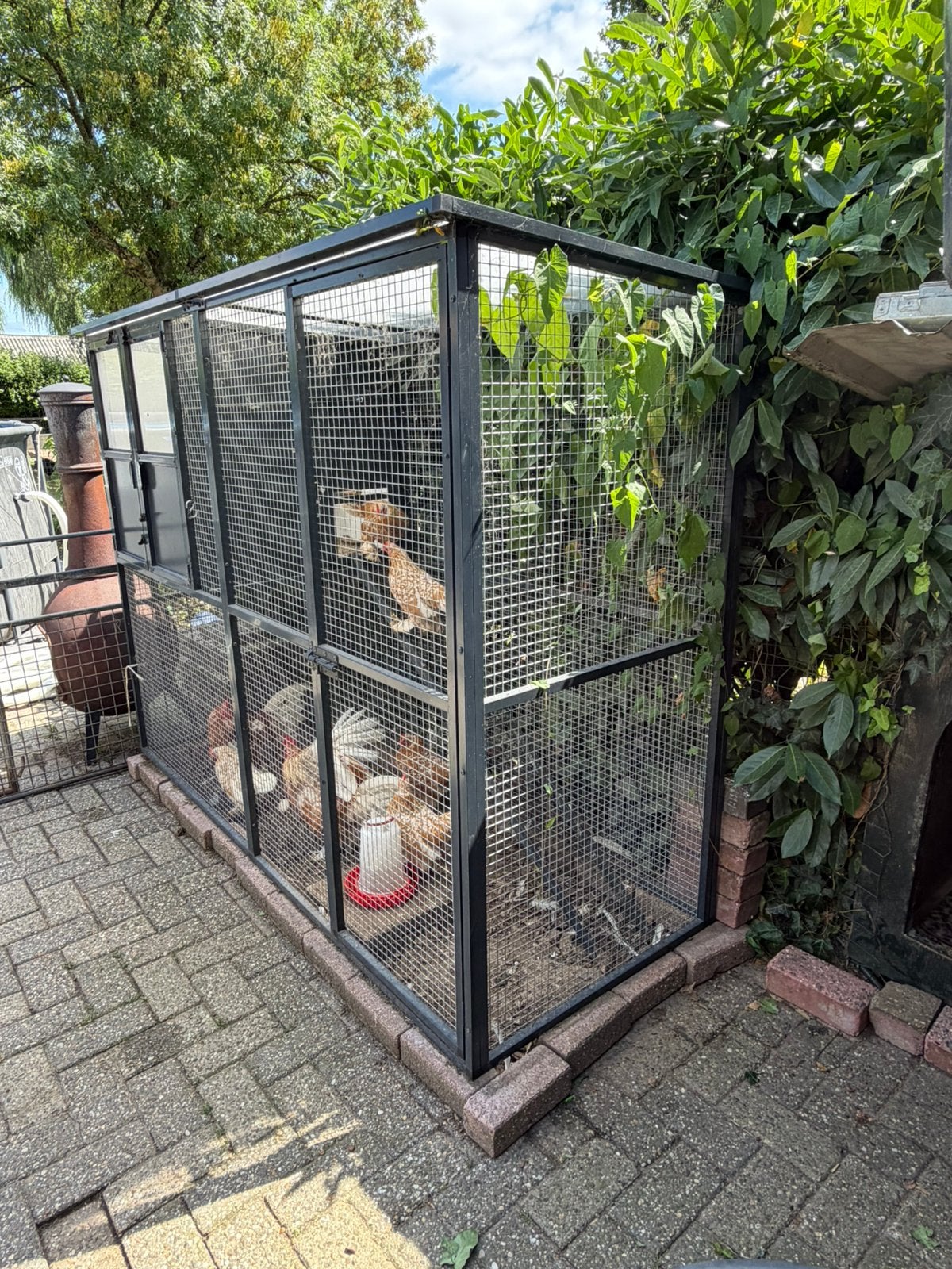 Aluminium kippen ren incl kippen te koop, Ophalen, Zo goed als nieuw, Kippenhok of Kippenren