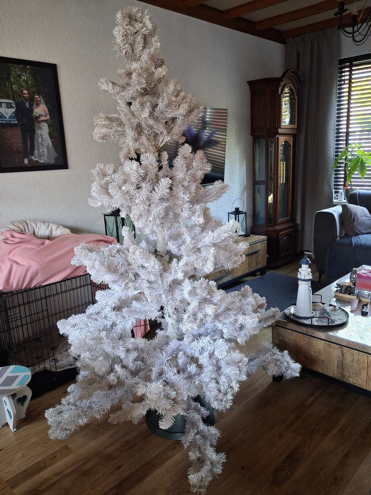 kerstboom, Diversen, Ophalen, Gebruikt