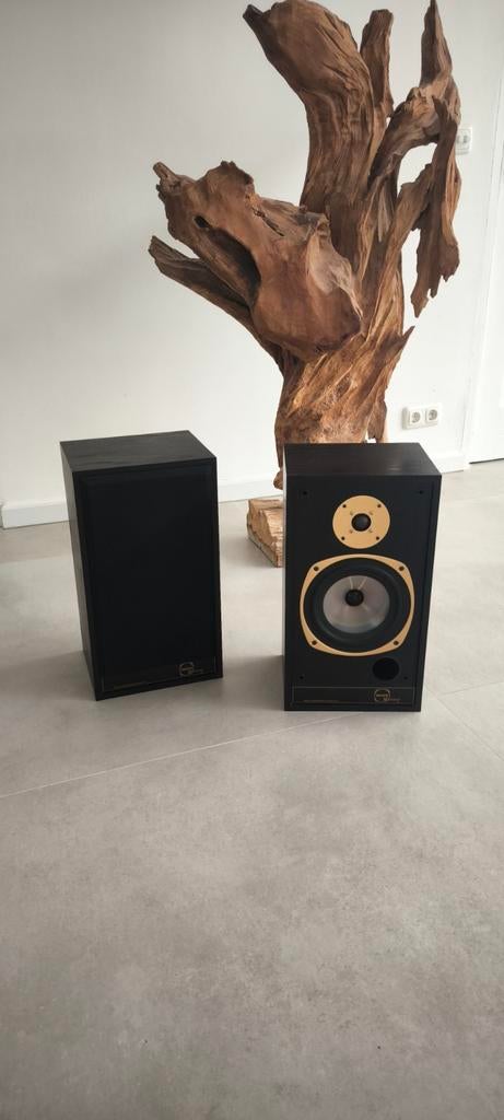 Tannoy M20 Gold ( lees..., Audio, Tv en Foto, Luidsprekers, Ophalen, 120 watt of meer, Front, Rear of Stereo speakers, Overige merken