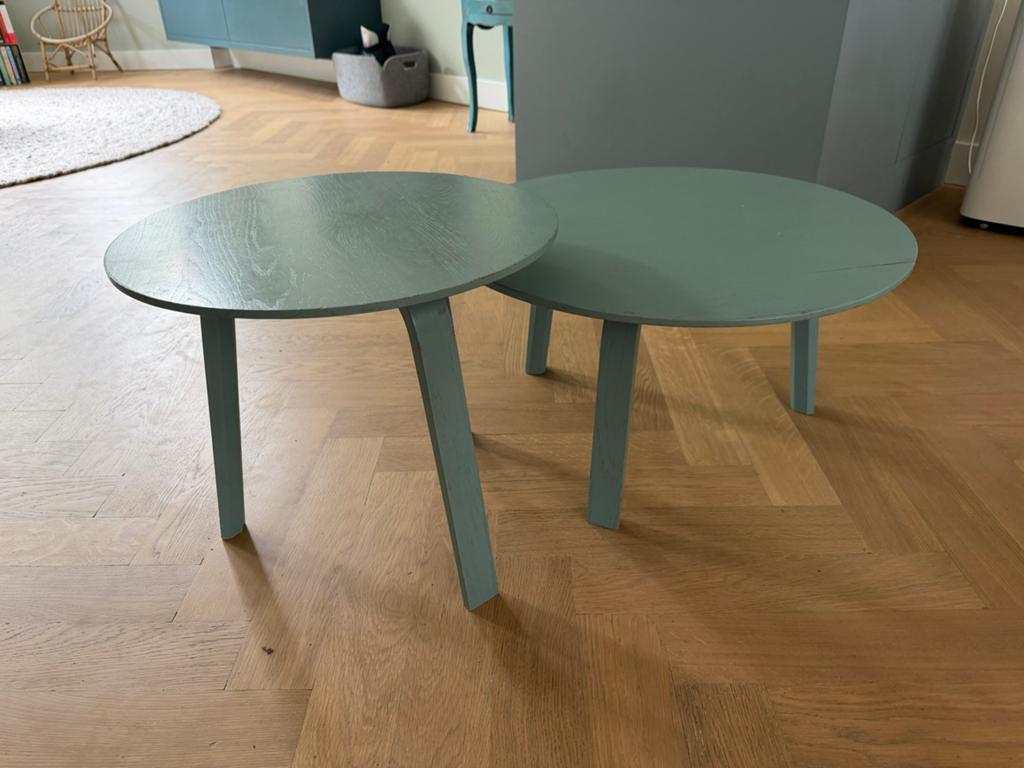 Set van 2 ronde bijzettafels - groen/grijs hout, Ophalen, Minder dan 45 cm, Minder dan 55 cm, Gebruikt