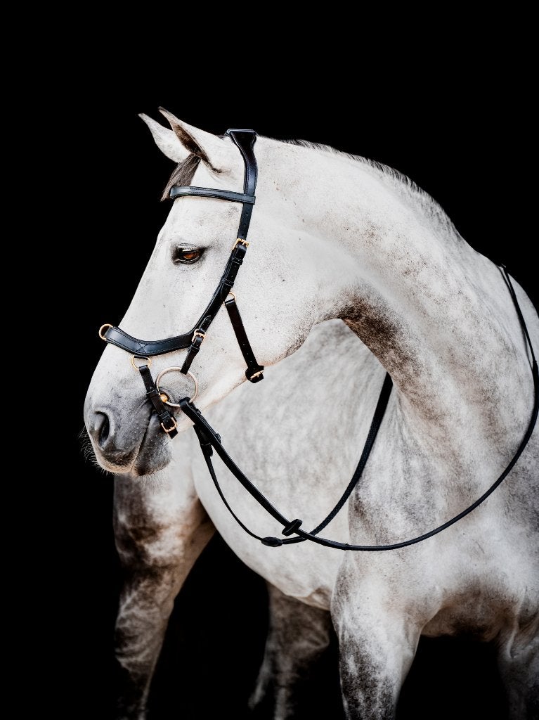 Horseware Micklem 2 Multi hoofdstel, Full en X-Full, Hoofdstel, Nieuw, Ophalen of Verzenden, Anatomisch gevormd
