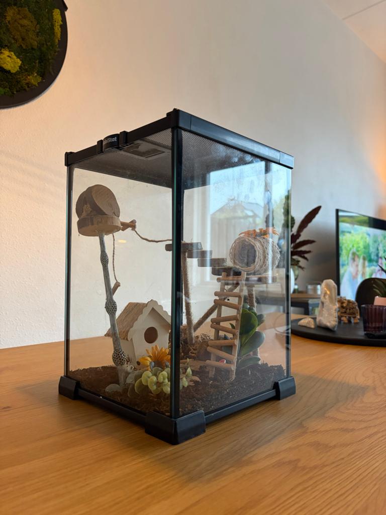 Terra della terrarium, Ophalen, Zo goed als nieuw, Terrarium of Paludarium