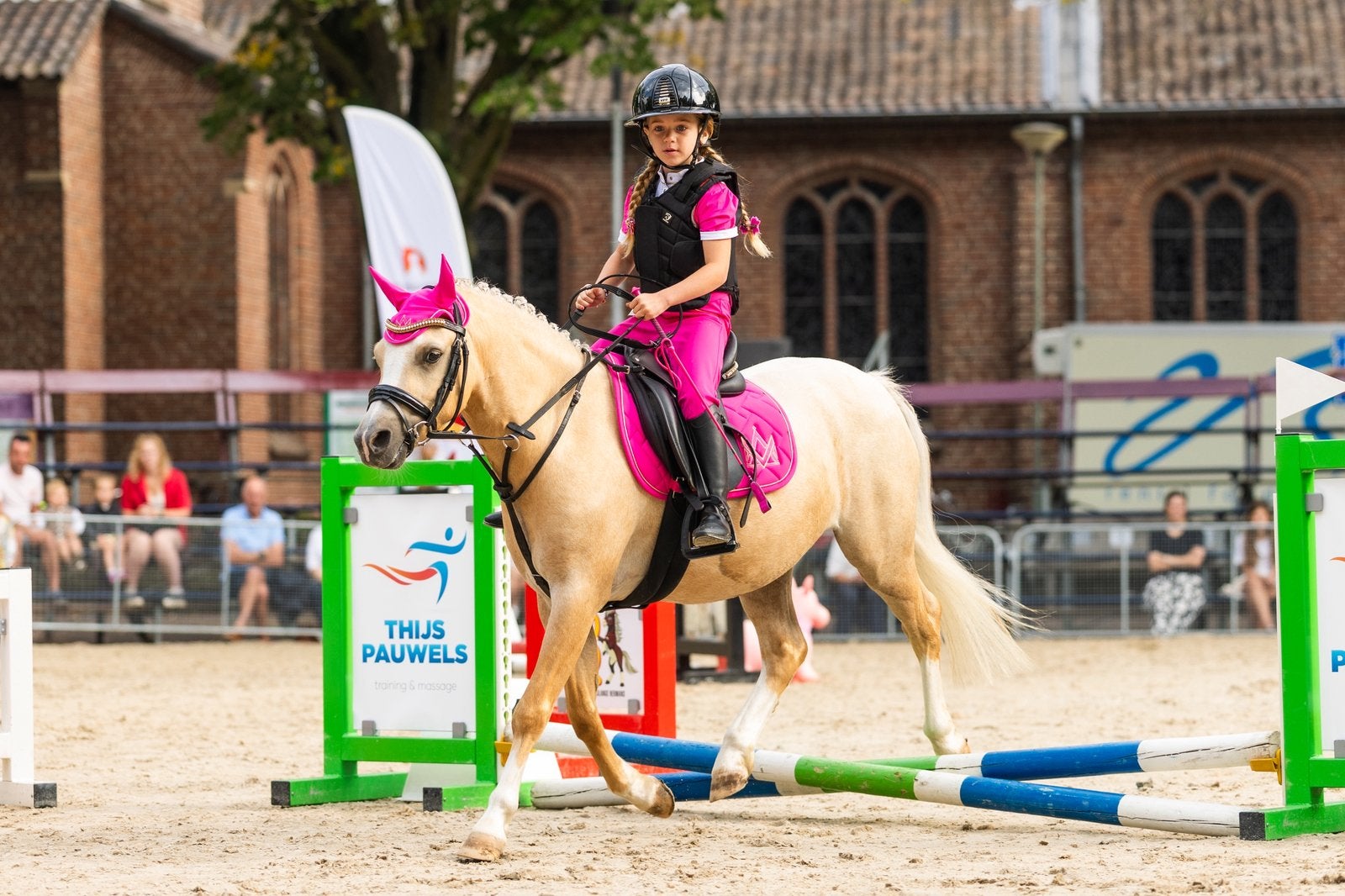 🦄✨ LIEVE A-, B- & C-PONY’S TE KOOP ✨🦄, Dieren en Toebehoren, Ruin, B pony (1.17m tot 1.27m), Met stamboom, 3 tot 6 jaar