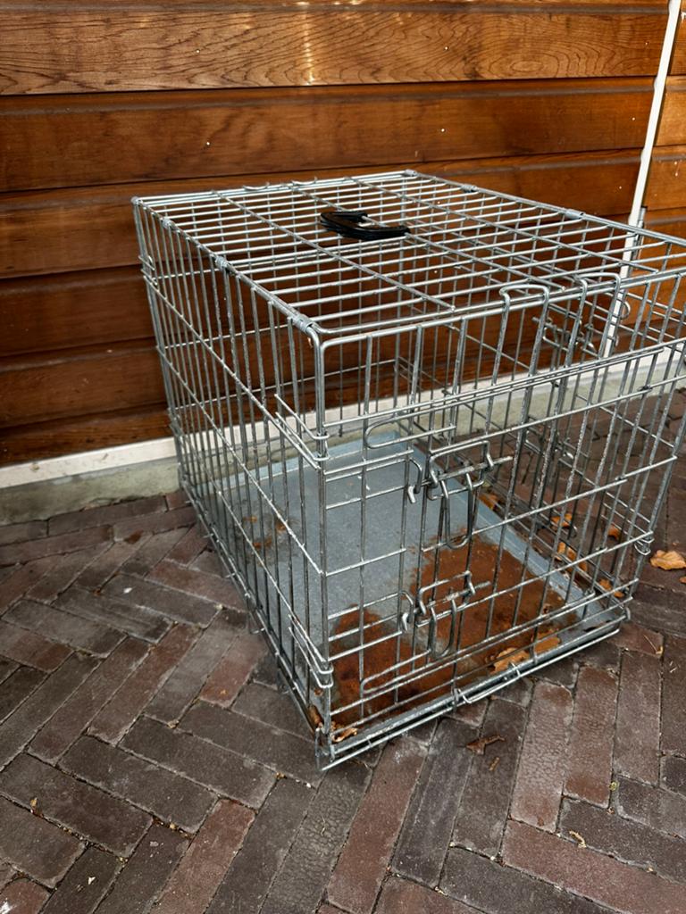 Gratis bench 45 bij 60 cm 53 cm hoog, Dieren en Toebehoren, Hondenbenches, Ophalen, Gebruikt