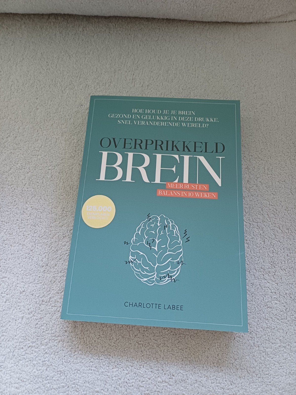 "Overprikkeld brein" van Charlotte Labee, Boeken, Ophalen of Verzenden, Zo goed als nieuw, Charlotte Labee