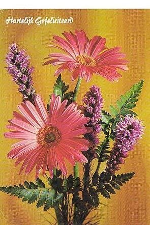 Ansichtkaart 	Bloemen	Gerbera's, Verzenden, 1960 tot 1980, Gelopen, Natuur