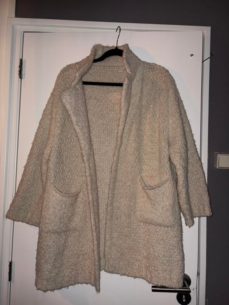 Beige jas maat L, Ophalen of Verzenden, Zo goed als nieuw, Maat 38/40 (M), Beige