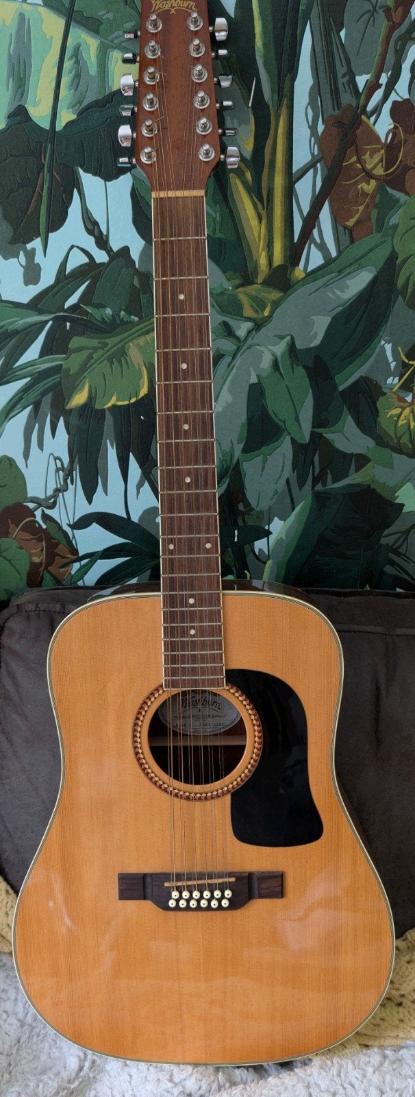 Washburn D10S12 12-snarige Dreadnought Westerngitaar, Ophalen, Gebruikt, Western- of Steelstringgitaar, 12-snarig
