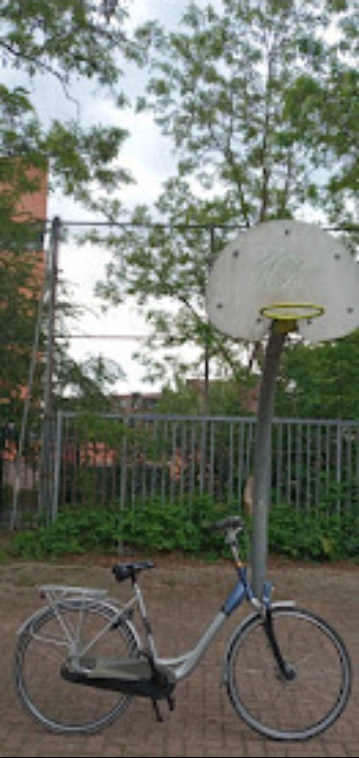 Damesfiets Batavus, Ophalen of Verzenden, Korf of Paal