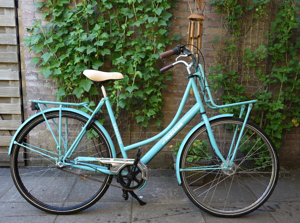 Damesfiets omafiets Robuust frame=57cm 28 inch 3speed AXA, Ophalen, Robuust, Versnellingen, 56 cm of meer