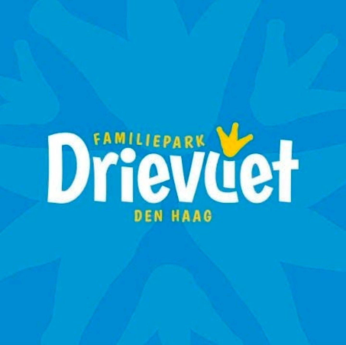 Drievliet tickets - 100% betrouwbaar, Drie personen of meer