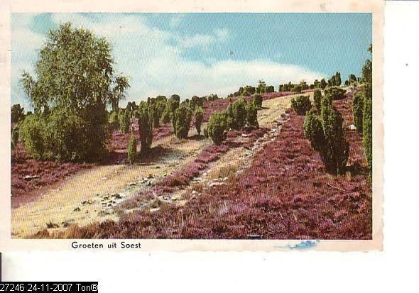 Ansichtkaart	Soest	Heide, Verzenden, 1940 tot 1960, Gelopen, Utrecht