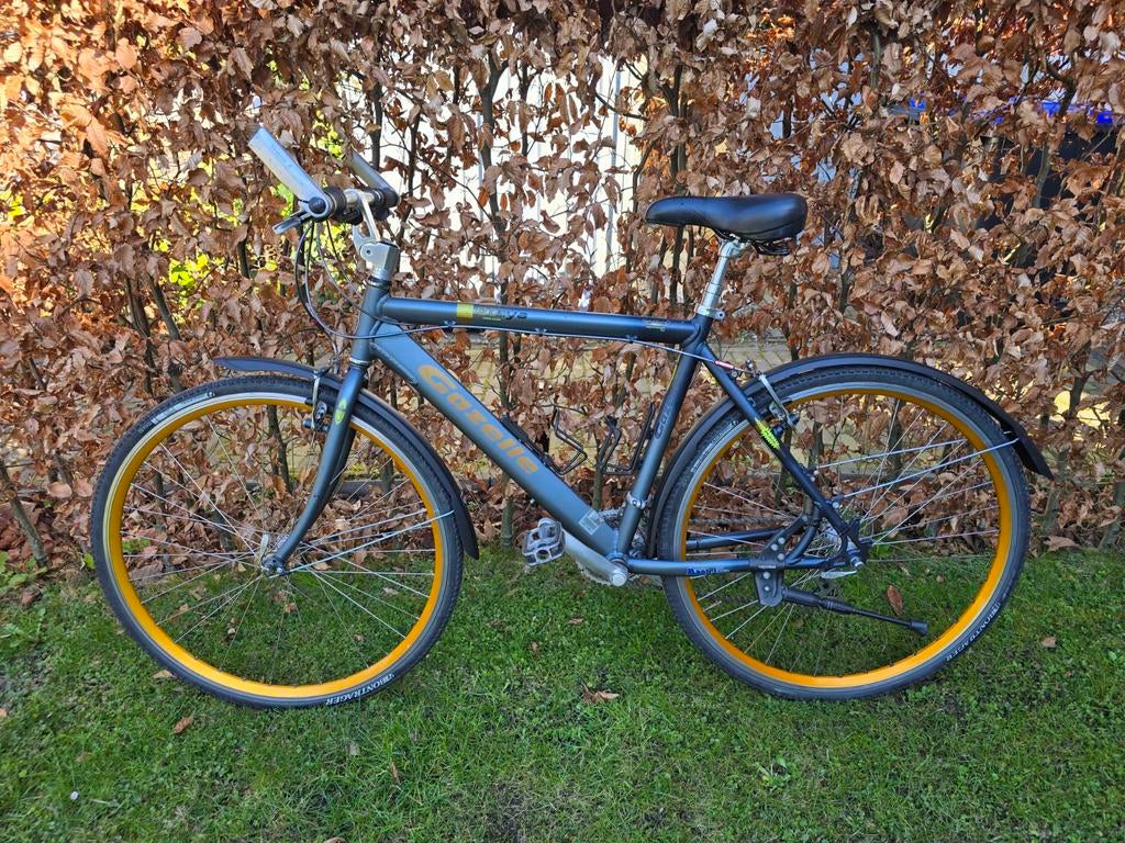 Gazelle Playa 7000 serie, Gebruikt, 49 tot 53 cm, Ophalen of Verzenden, Meer dan 20 versnellingen