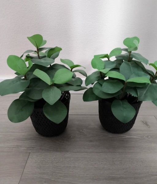 2 nep plantjes in zwarte rietenmandje ikea, Binnen, Groen, Kunstplant, Overige materialen