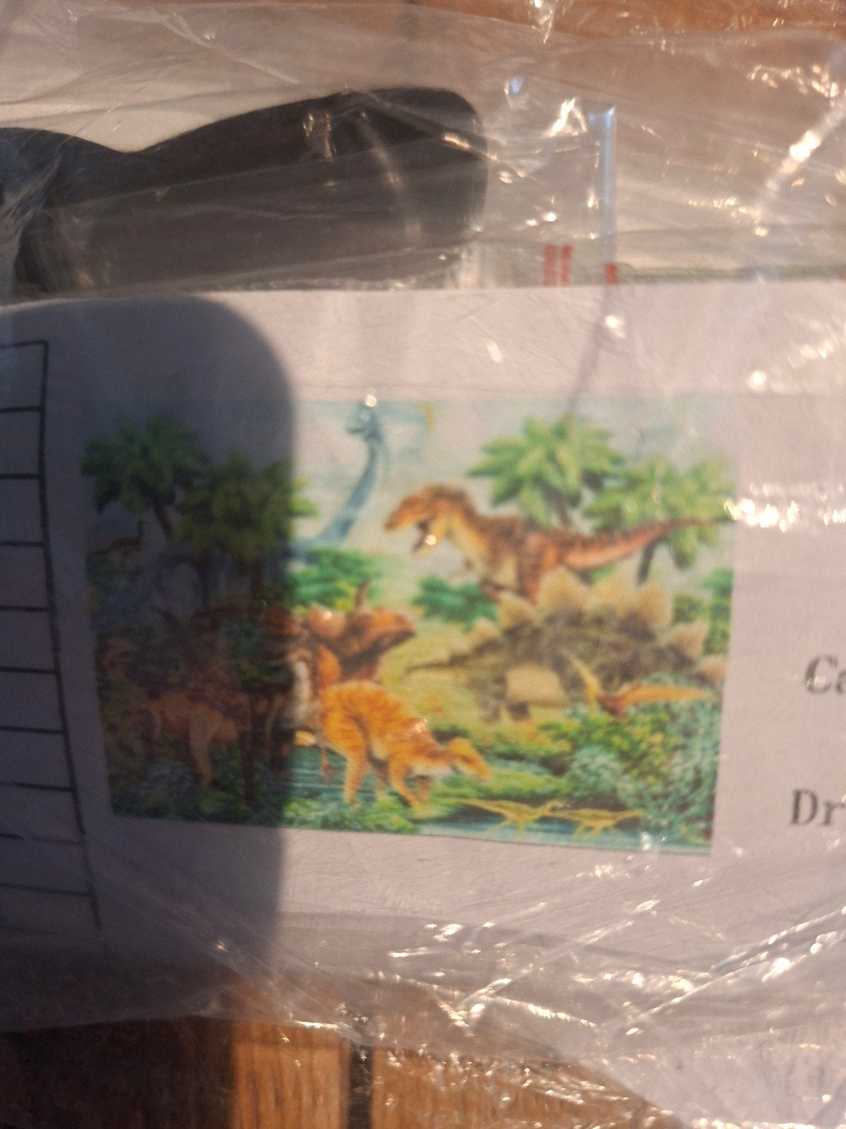 daimend painting dino's, Ophalen of Verzenden, Nieuw, Knutselwerk