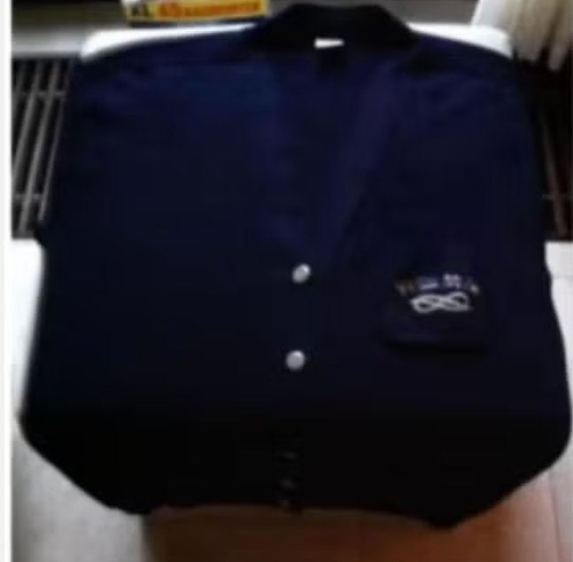 Dames vest Roberto blauw maat XL merk Roberto, Blauw, Maat 46/48 (XL) of groter, Ophalen of Verzenden, Zo goed als nieuw