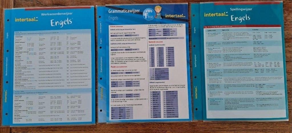 Intertaal Engels - Grammatica, Werkwoorden en Spellingwijzer, Ophalen of Verzenden, Zo goed als nieuw, Onbekend