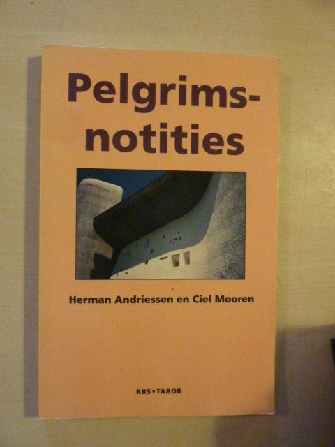H. Andriessen ea - Pelgrimsnotities, Ophalen of Verzenden, Zo goed als nieuw