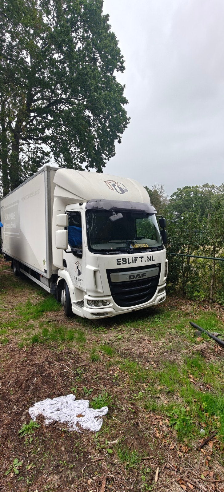daf lf 210  11990 kg, Automaat, Euro 6, Bedrijf, Diesel