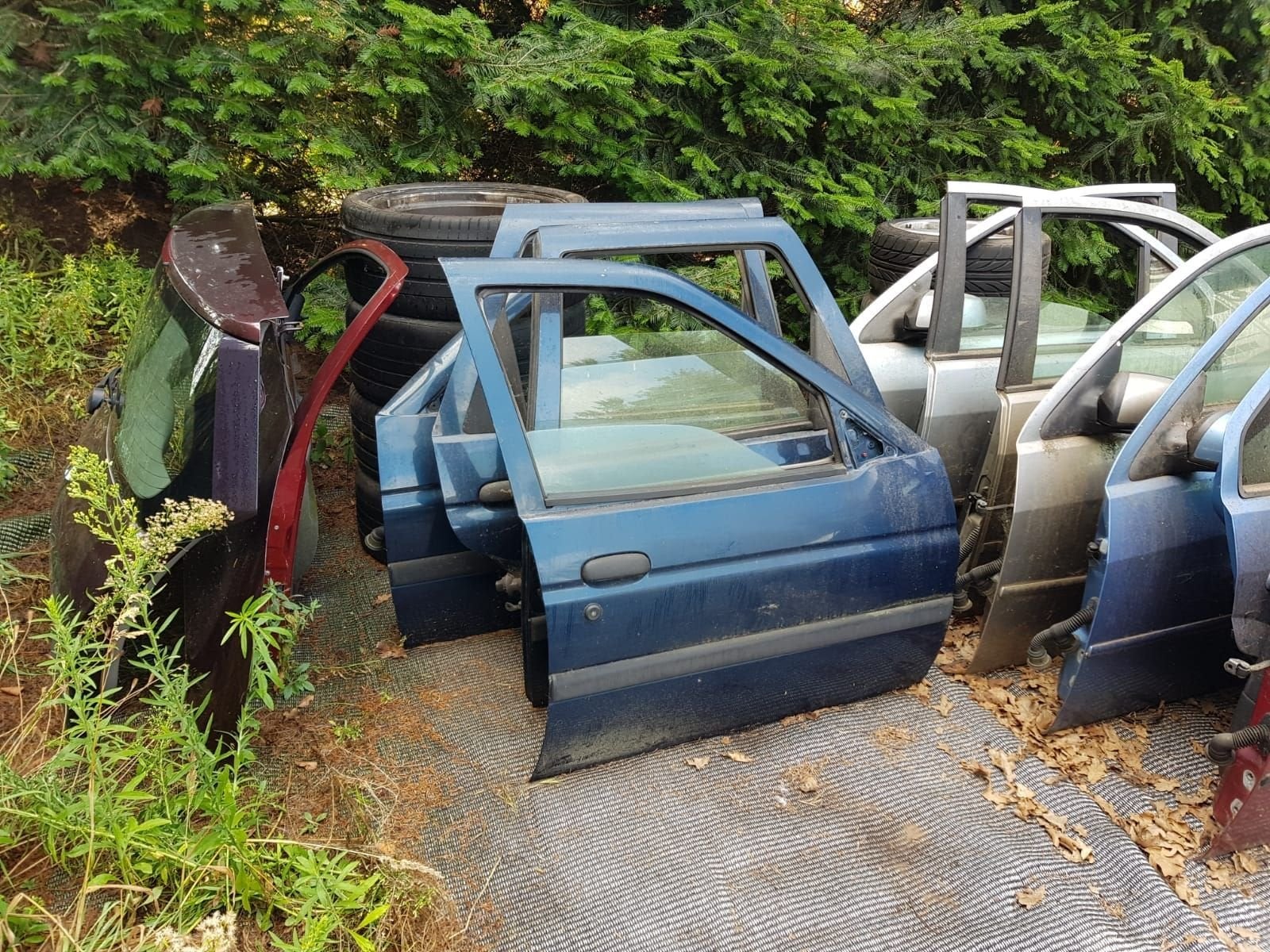 FORD ESCORT PORTIEREN BJ 96 TOT 98, Gebruikt, -, Deur, -