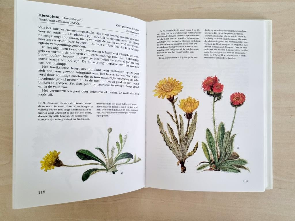 Vodickova - Rebo natuurgids rotsplanten, Verzenden, Zo goed als nieuw, Bloemen, Planten en Bomen, Vodickova