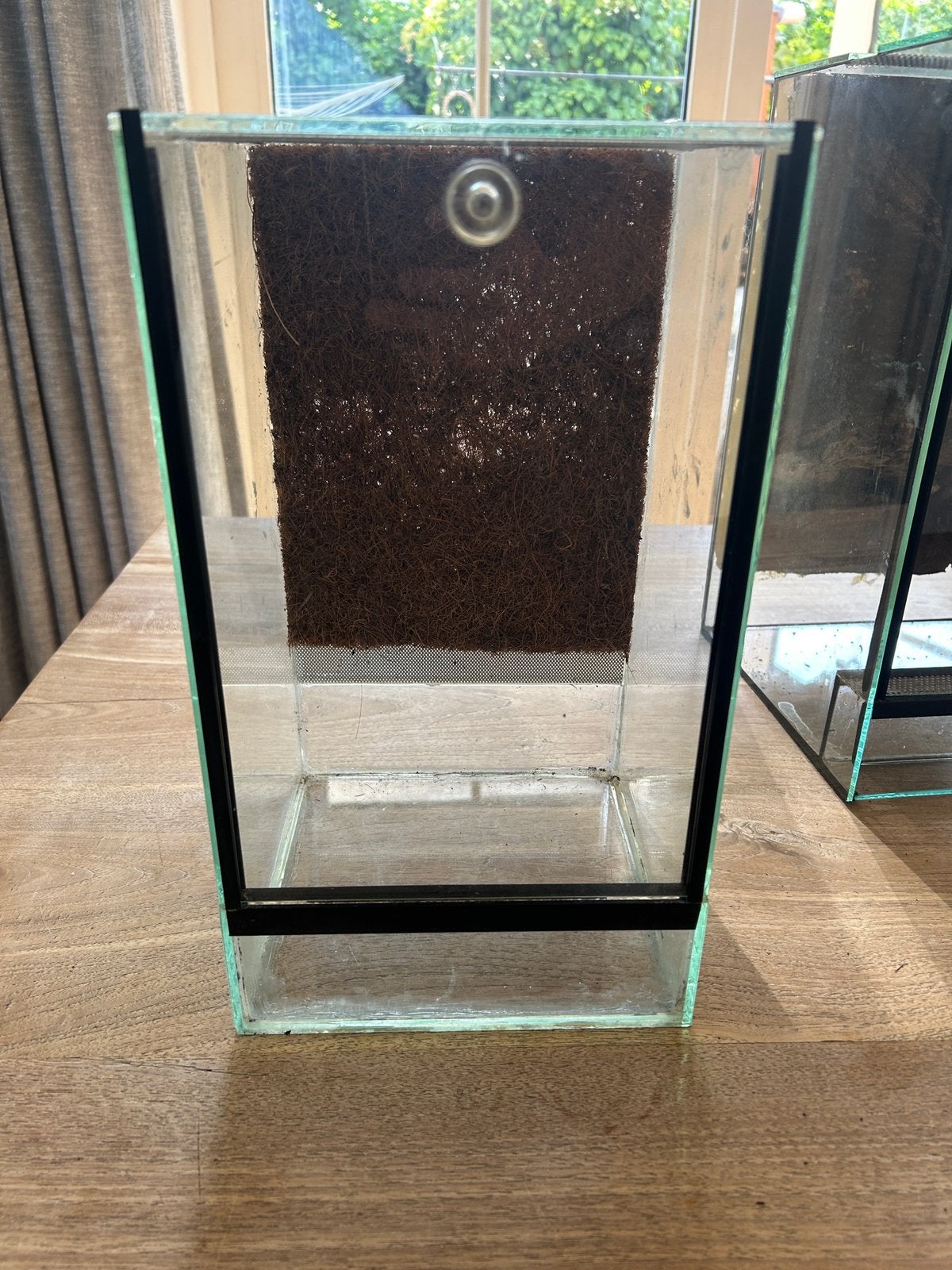 terrarium met kokosvezel achterwand 20x20x35, Ophalen, Zo goed als nieuw