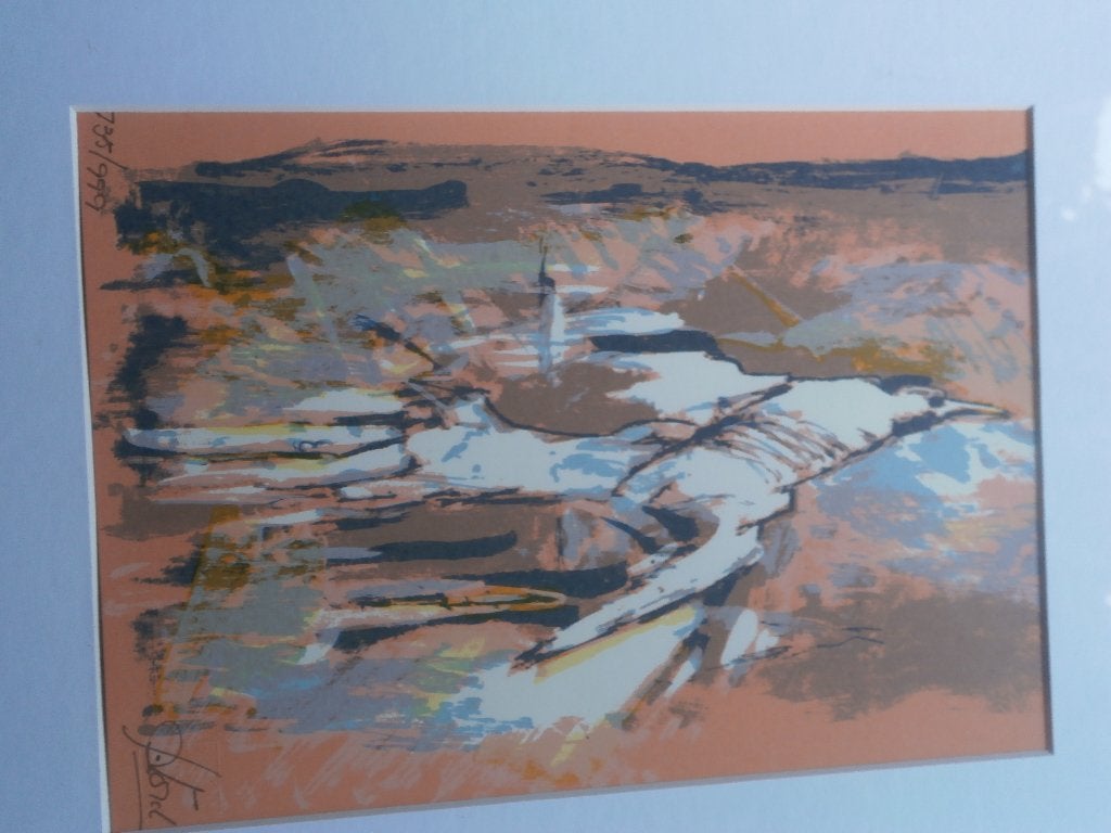 Mooie gekleurde zeefdruk van een Vogel ???, Antiek en Kunst, Kunst | Litho's en Zeefdrukken, Ophalen of Verzenden
