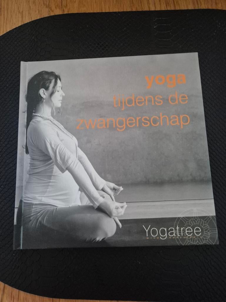 Yoga tijdens de zwangerschap, Boeken, Astrologie, Overige typen, Ophalen of Verzenden, Zo goed als nieuw