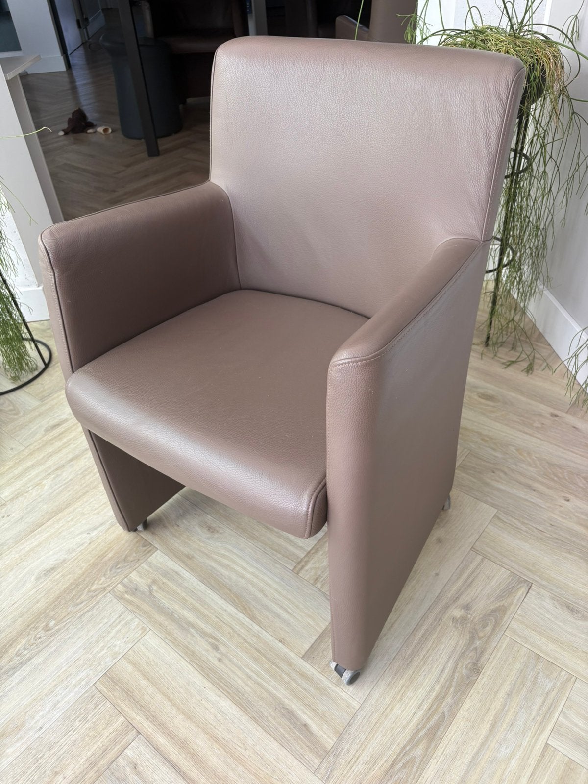 Eetkamerstoelen Bree’s New World, Ophalen, Overige kleuren, Leer, Zo goed als nieuw
