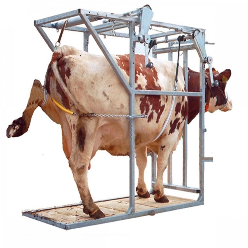 Klauwverzorgingsboxen en onderdelen voor uw box!, Dieren en Toebehoren, Ophalen of Verzenden, Nieuw