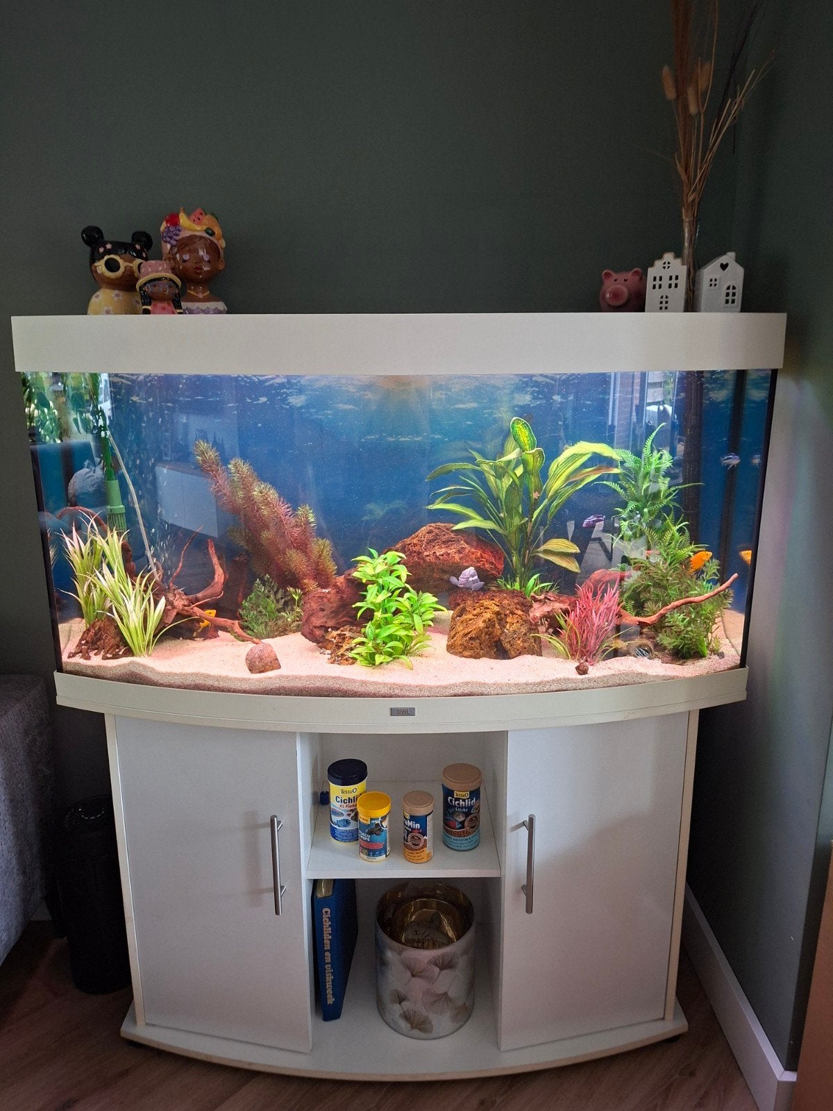 Wit aquarium Juwel Vision 260, Ophalen, Gevuld zoetwateraquarium