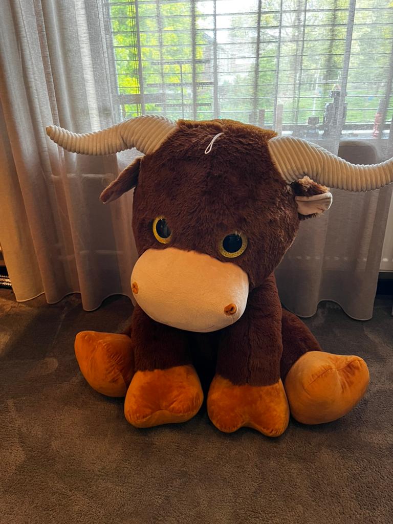 Grote stier knuffel, Ophalen
