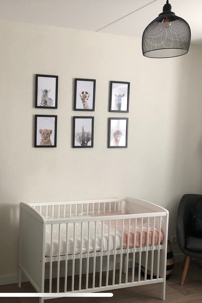 Set van 6 Baby Dieren Posters voor Babykamer, Minder dan 50 cm, Nieuw, Ophalen of Verzenden, Foto of Poster