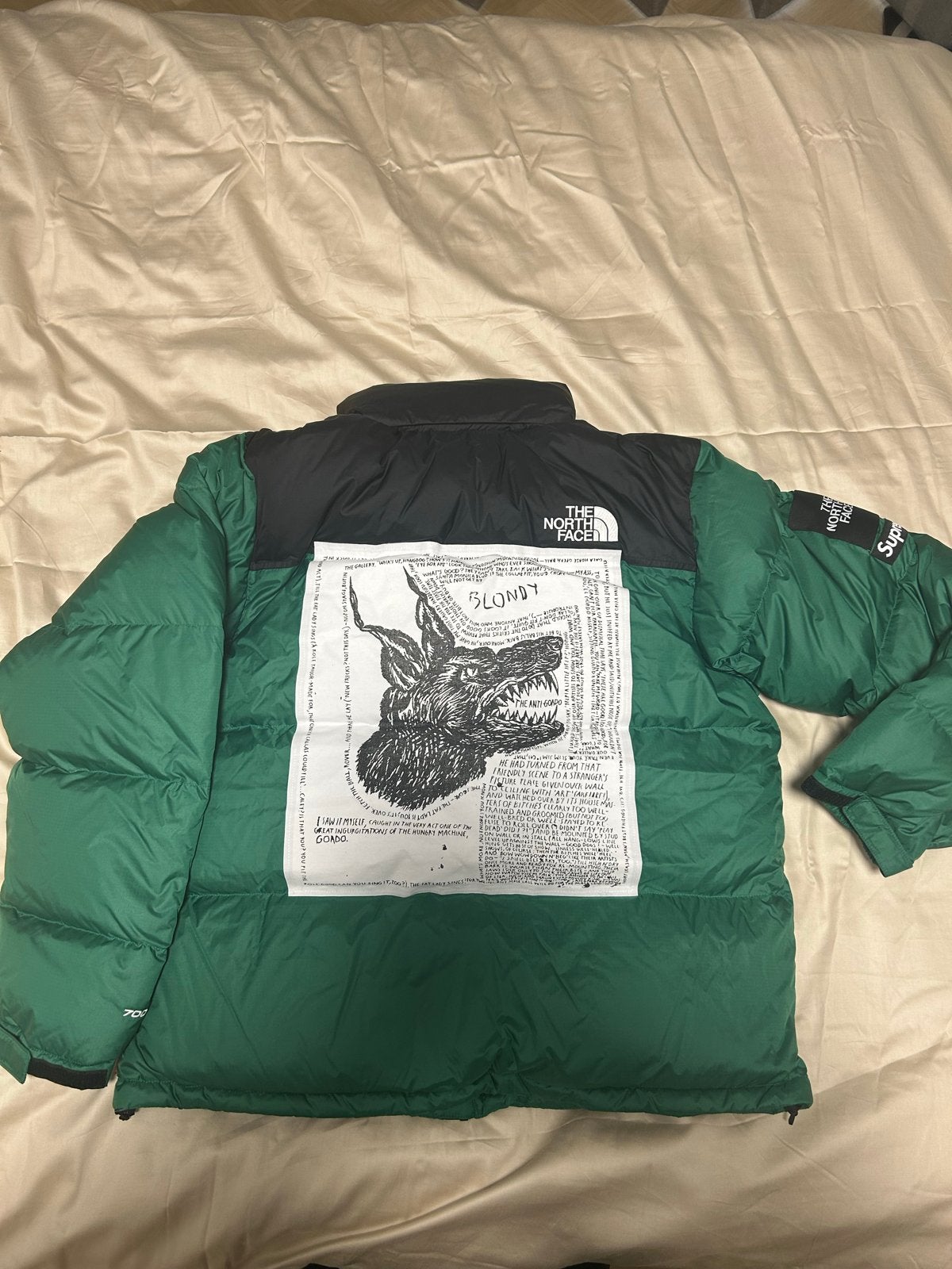 The North Face x Supreme Nuptse Jacket Groen, Ophalen of Verzenden, Zo goed als nieuw, Maat 52/54 (L), Groen