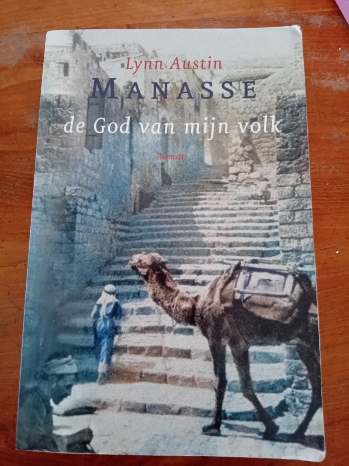Manasse: De God van mijn volk - Lynn Austin (Roman), Boeken, Ophalen of Verzenden
