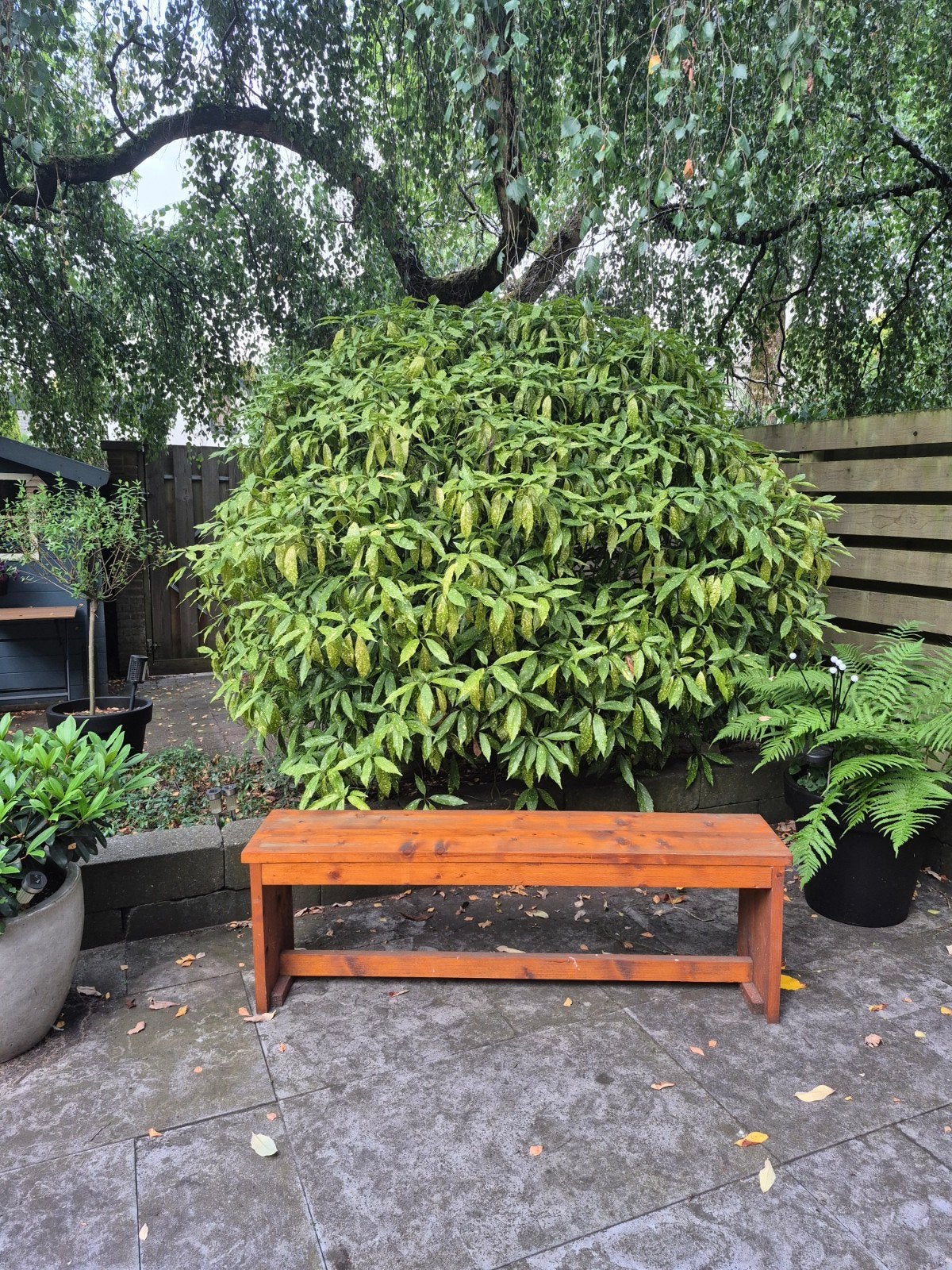 tuinbank, Ophalen, Overige soorten, 100 tot 250 cm