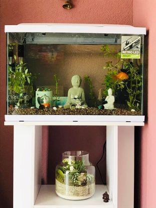 Fish tank with stand, Ophalen, Zo goed als nieuw, Leeg aquarium